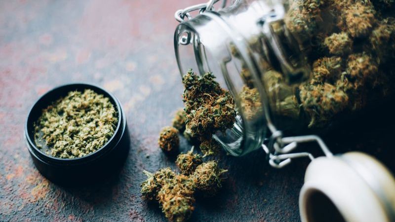 The marijuana of my youth is long gone. I wish someone had told me