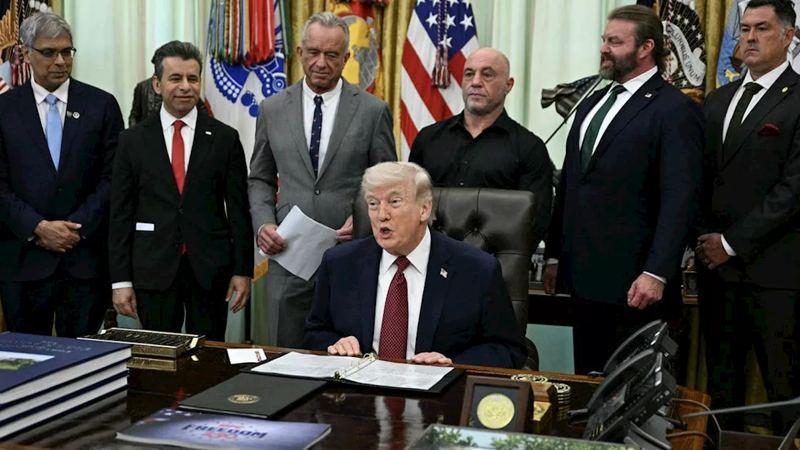 Trump Administration Accelerates Psychedelic Research for Mental Health Treatments