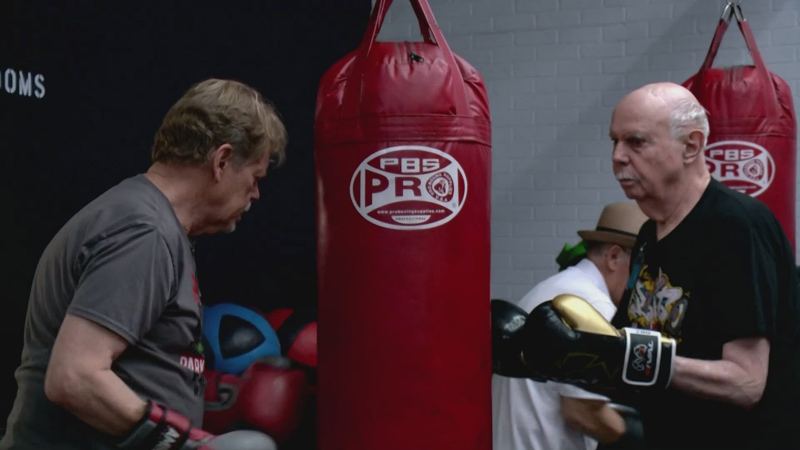 Breakthrough findings in the battle against combat PTSD