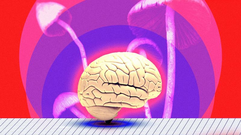 Psychedelics May Soon Become Easier to Get. Is That Good?