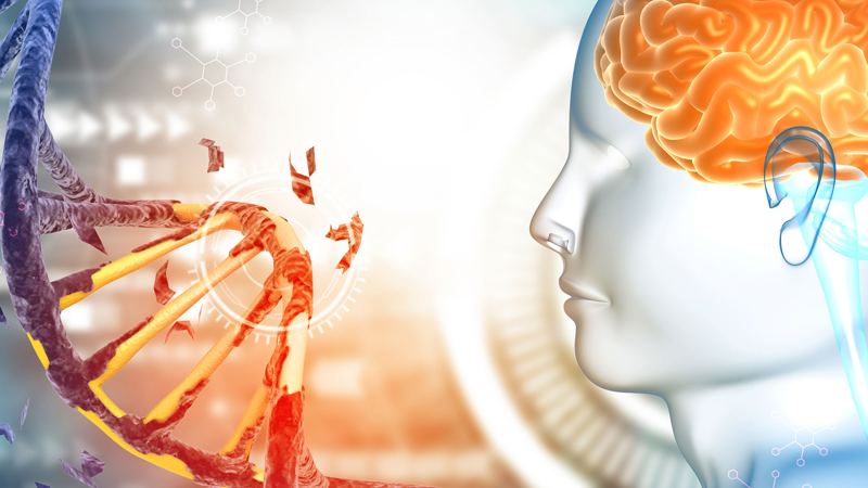 New research finds 5 genetic signatures shared by 14 psychiatric disorders