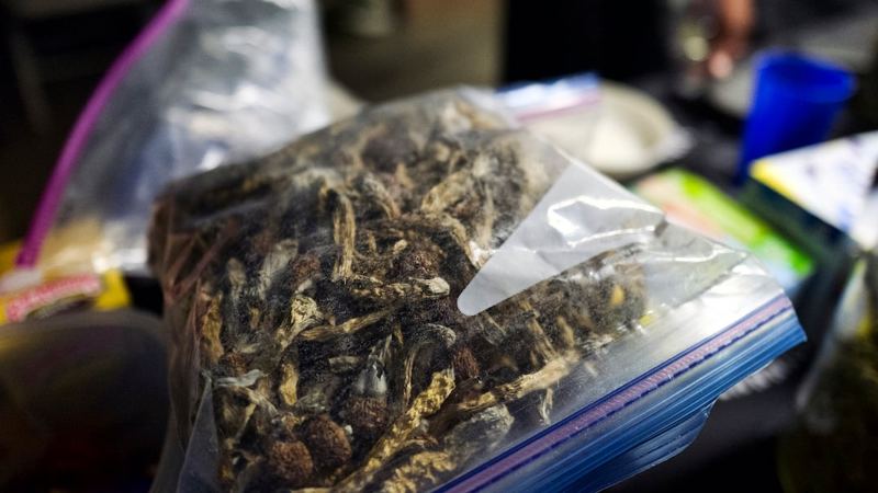 Bill to create psychedelic therapy program in Louisiana passes unanimously, heads to governor