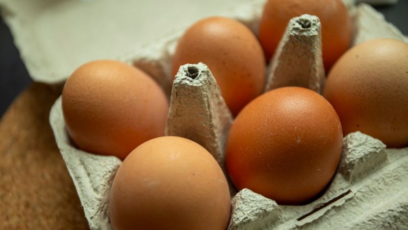Alzheimer’s risk slashed by eating more of one common food, study suggests