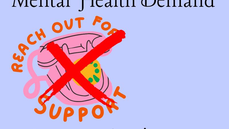 Mental health demand outpaces services