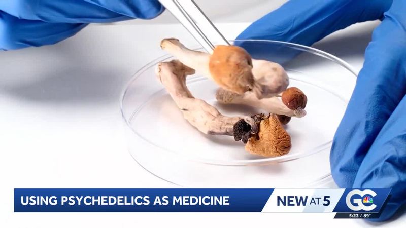 FDA prioritizes research into psychedelics for mental health treatment