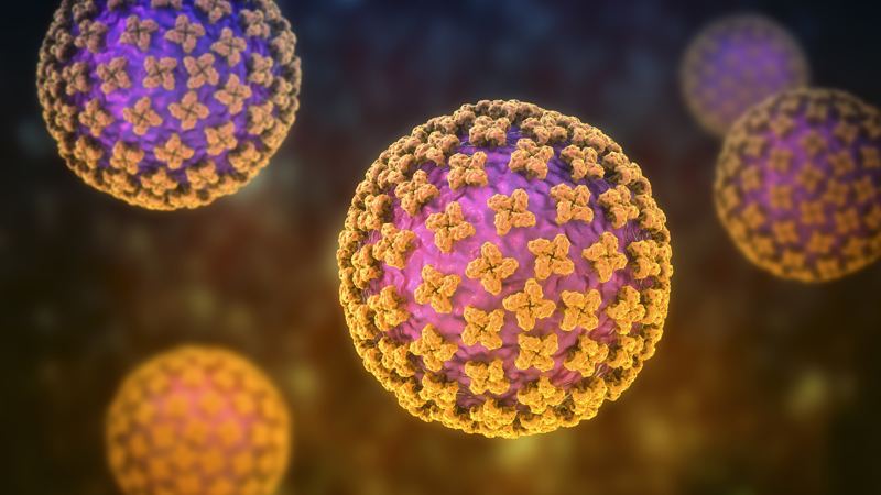 Hantavirus reassurance; early puberty in girls; how engaging with the arts can slow down aging; plus other stories with Vanderbilt Health sources