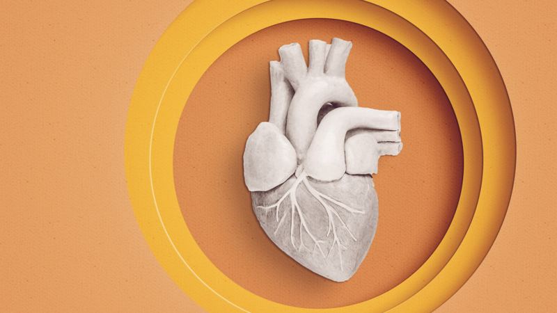 Heart disease risk may start in the womb
