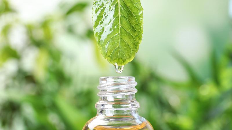 Scientists Discover Cheap, Natural Remedy for High Blood Pressure