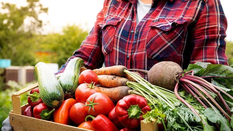 Followers of Bible-based diet say scripture-guided eating transformed their health