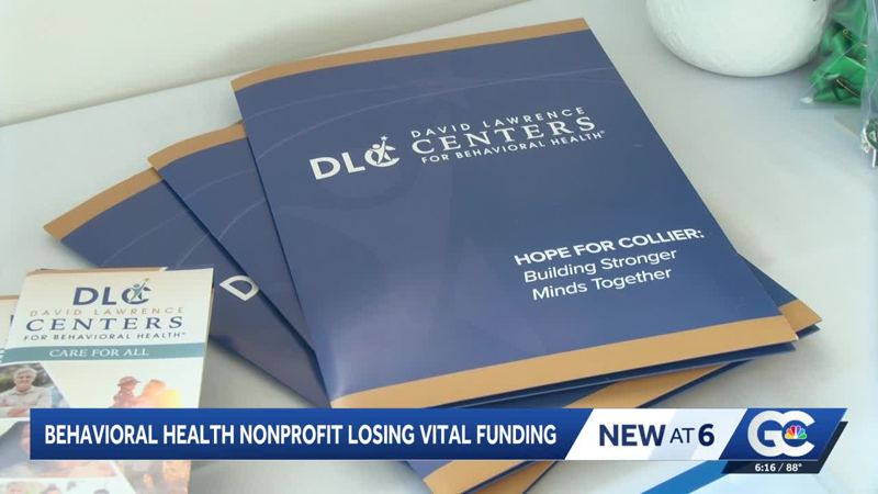 Naples mental health training program faces funding loss